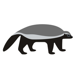 badger flat illustration on white