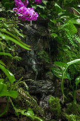 tropical small waterfall among green plants and flowers