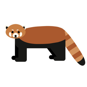 Red Panda Flat Illustration On White