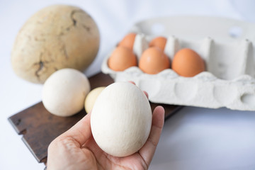 Eggs in several white colors and mixed sizes. close up egg in the hand