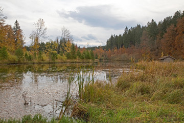 Herbst am Hackensee