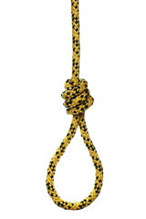 Rope noose with hangman's knot, isolated on white background