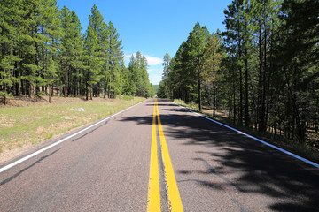 Fototapeta premium Route 87 in Coconino National Forest, Arizona, USA