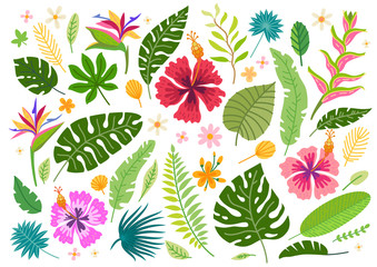 Set of vector cartoon rainforest floral elements