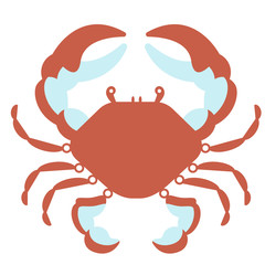 crab flat illustration on white