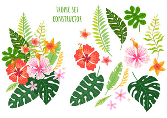 Set of tropical flowers. Vector cartoon rainforest floral elements