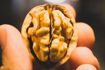 Nut