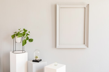 Stylish and design home decor with mock up grey poster frame, white and grey pedestals with stylish accessories and plants in pots. Eclectic and minimalistic room interior. Template. Blank.
