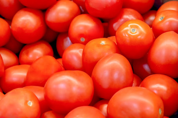 Red tomatoes