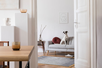 Stylish scandi interior of home space with design wooden table, chairs, sofa and accessories. Living room with design furnitures. Beautiful white dog sitting on the couch. Elegant home decor. © FollowTheFlow