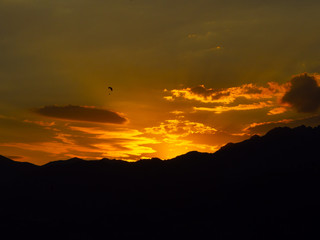Paragliding orange sunset