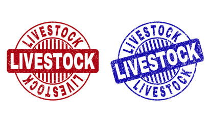 Grunge LIVESTOCK round stamp seals isolated on a white background. Round seals with grunge texture in red and blue colors. Vector rubber imprint of LIVESTOCK tag inside circle form with stripes.