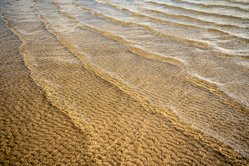 An der Nordsee