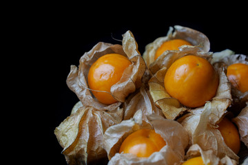 cape gooseberry on black