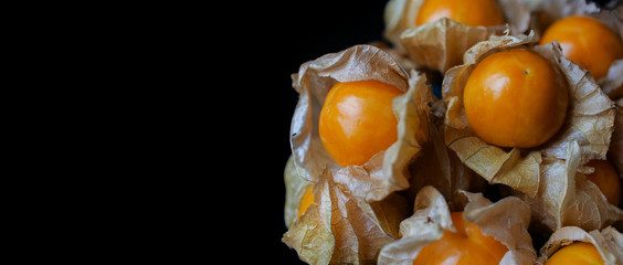 cape gooseberry on black