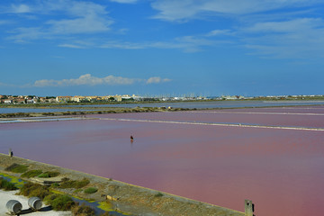 Maris salants avec le village de Gruissan à l'horizon