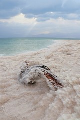 beach and sea, deadsea