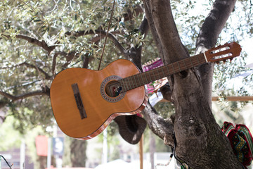 Guitarra colgada en árbol en plena naturaleza