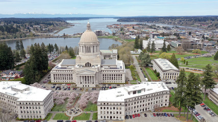 Spring Cherry Blossoms at the State Capital Building in Olympia Washington