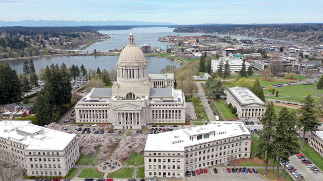 Spring Cherry Blossoms At The State Capital Building In Olympia Washington