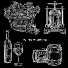 Vector winemaking illustration with basket of grapes, bottle and glass of wine, press and  barrels.