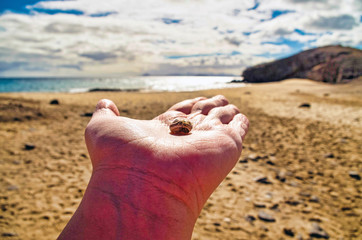 Hand on the Beach