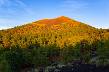 Sunset Crater Volcano National Monument in Arizona, USA