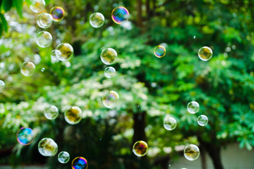 the nature soap bubble texture background and wallpaper