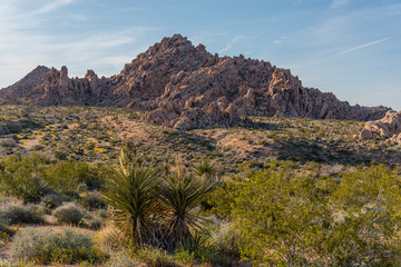 Rugged desert scenery in California's Joshua Tree National Park
