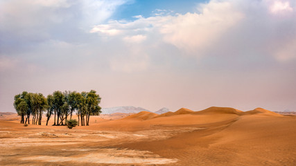 Fototapeta na wymiar Ghaf trees and pristine red sand dunes against a blue sky in the Arabian desert.