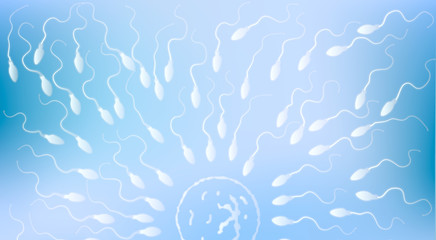 Realistic spermatozoids runs towards the egg, live competition concept - obrazy, fototapety, plakaty