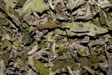 Dried mint.Background of dried peppermint.