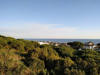 Fototapeta na wymiar Vista del mar y pinos en Mazagón provincia de Huelva España