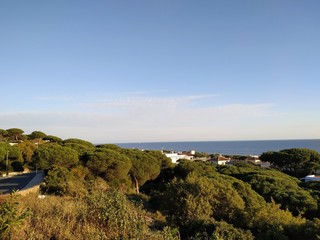 Fototapeta na wymiar Vista del mar y pinos en Mazagón provincia de Huelva España