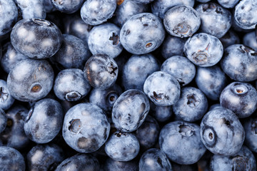 ripe blueberries closeup
