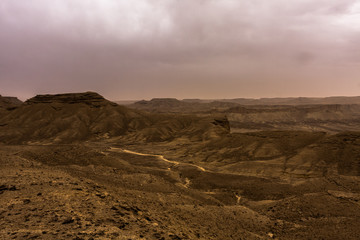Fototapeta na wymiar Desert landscape with thunderclouds and sandstorm in Lower Najd, Saudi Arabia