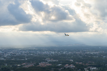 twin macaw flying