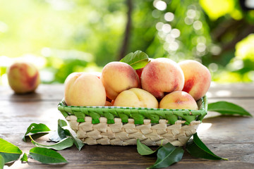 ripe peaches on a blurred green background