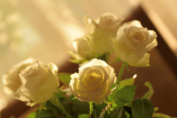 Bouquet of transparent white roses.