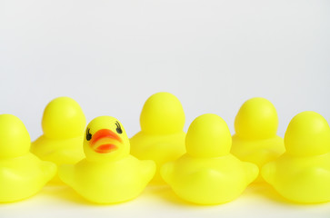 Yellow duck toy on white background. Business, Leadership, Teamwork or Friendship Concept