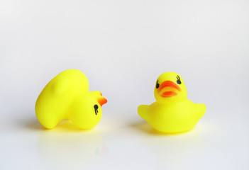 Yellow duck toy on white background. Business, Leadership, Teamwork or Friendship Concept