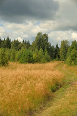 Summer landscape with meadow, trees, clouds, road.