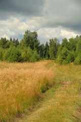 Summer landscape with meadow, trees, clouds, road.