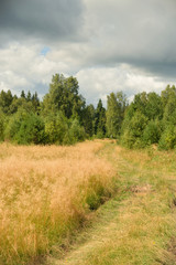 Summer landscape with meadow, trees, clouds, road.