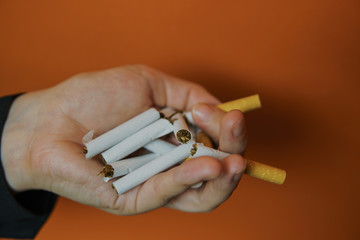 Crop woman holding split cigarette. Closeup of crop woman holding unlit split cigarette on palm