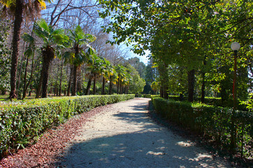path in the park