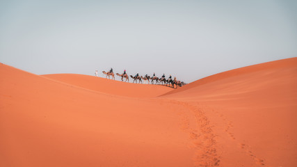 Obraz na płótnie Canvas Camel ride in the Sahara desert at sunrise, Merzouga Morocco. People and dromedaries