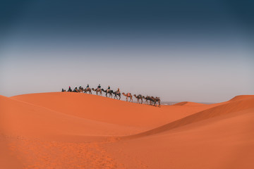 Fototapeta na wymiar Camel ride in the Sahara desert at sunrise, Merzouga Morocco. People and dromedaries