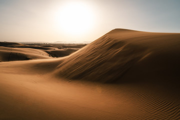 Plakat Incredible golden dunes at sunset, escursion in the Sahara Desert, Morocco