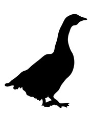 Goose silhouette